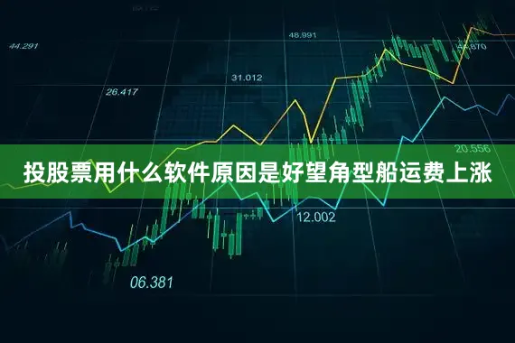 投股票用什么软件原因是好望角型船运费上涨