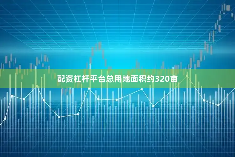 配资杠杆平台总用地面积约320亩